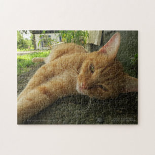 Puzzle Moment calme du chat de gingembre