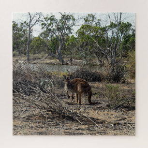Puzzle Moment tranquille : Kangaroo australien à Billabon