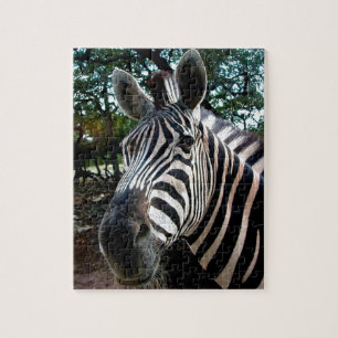 Puzzle Mon ami strippy