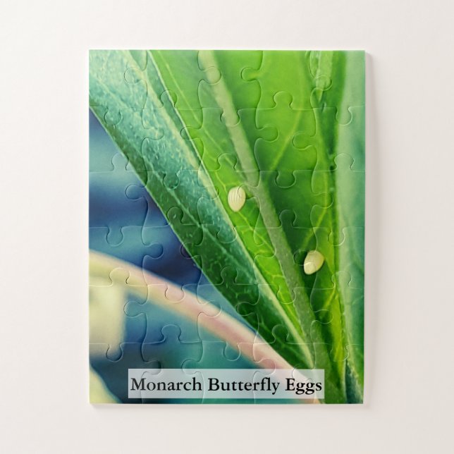 Puzzle Monarch Butterfly Eggs 30Pcs (Vertical)