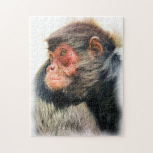 PUZZLE MONKEY