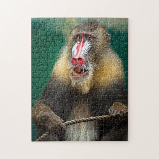 Puzzle Monkey Photographie Meilleures photos de la faune (Vertical)
