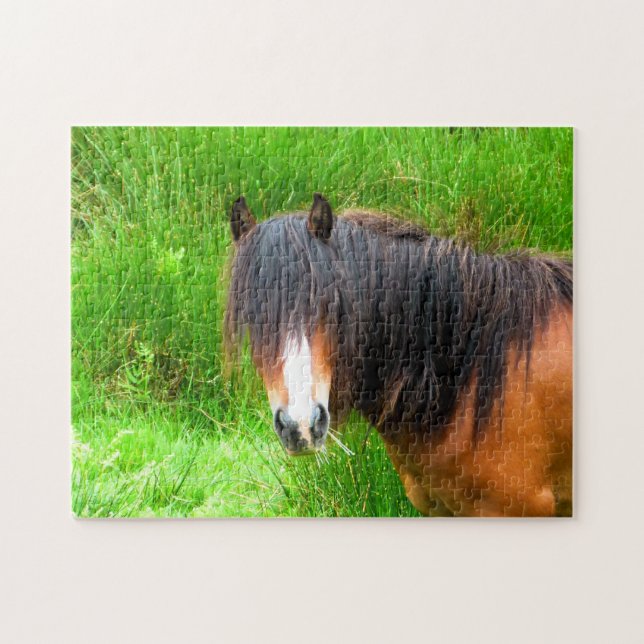 PUZZLE MONTAGNE CHAUDE PONY (Horizontal)