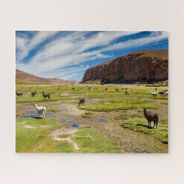 Puzzle Montagnes | Andes boliviennes (Horizontal)