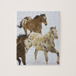 Puzzle Montagnes Big Horn, Chevaux courant dans la neige