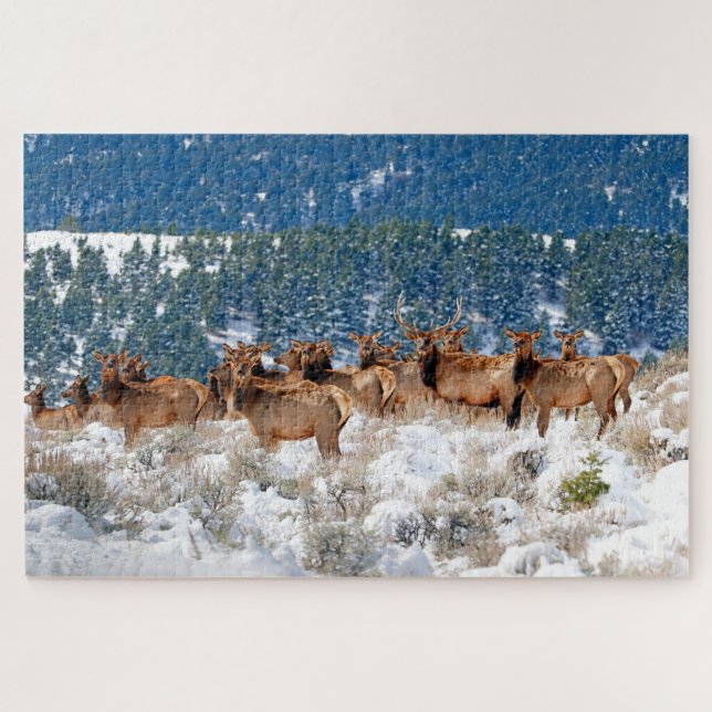 Puzzle Montana Elk Herd (Horizontal)