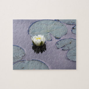 Puzzle Moody Water Lily