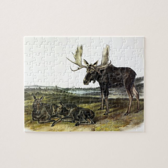 Puzzle Moose Deer (Moose - Alces alces) par Audubon (Horizontal)