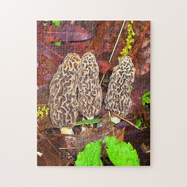 Puzzle Morel Mushrooms (Vertical)