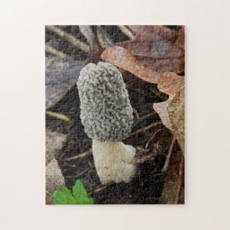 Puzzle Morille grise