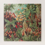 Puzzle Mosses, Muscinae Laubmoose par Ernst Haeckel<br><div class="desc">Muscinae Laubmoose par Ernst Haeckel Plantes Vintages Jigsaw Puzzle.</div>