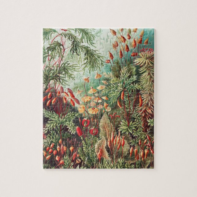 Puzzle Mosses, Muscinae Laubmoose par Ernst Haeckel (Vertical)
