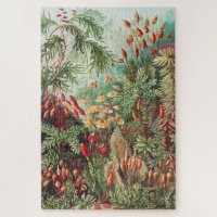 Mosses, Muscinae Laubmoose par Ernst Haeckel