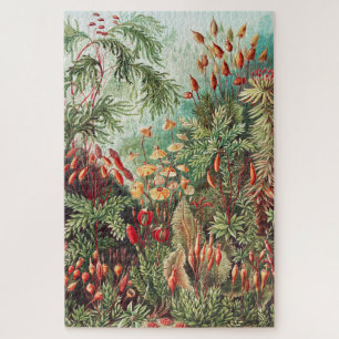 Puzzle Mosses, Muscinae Laubmoose par Ernst Haeckel