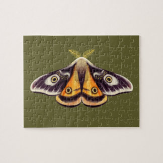 Puzzle Moth Insect Art Goblincore Saturnia Witchy Green