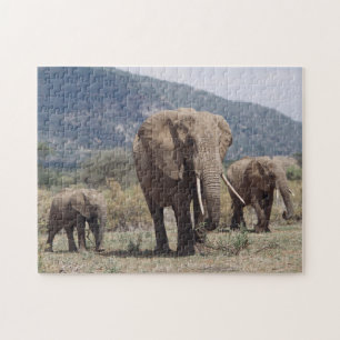 Puzzle Mother éléphant walking with elephant calf