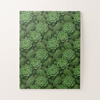 Puzzle Motif botanique Succulent & Cactus