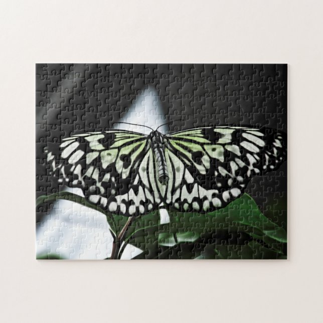 Puzzle motif créatif (Horizontal)