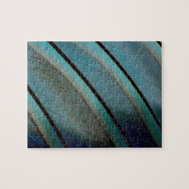 Puzzle Motif de plume bleue (Horizontal)