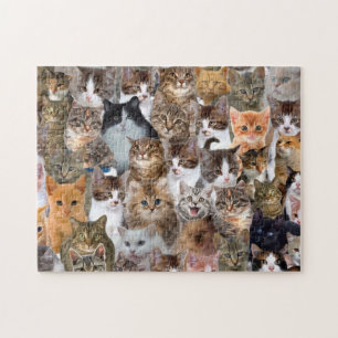 Puzzle Motif Visages de chat