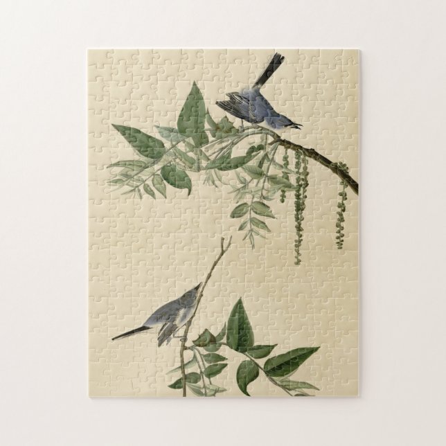 Puzzle Moucherolle gris-bleu - Audubon's Birds of America (Vertical)