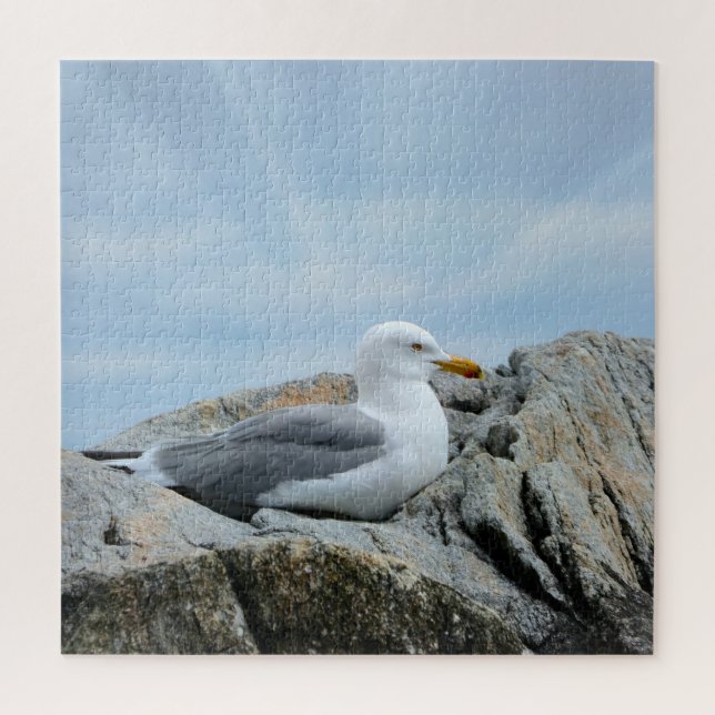 Puzzle Mouette En Bord De Mer (Vertical)