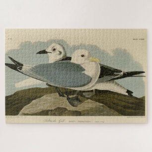 Puzzle Mouette Kittiwake des oiseaux d'Amérique d'Audubon