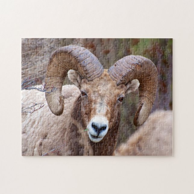 Puzzle Mouflon des montagnes rocheuses (Horizontal)