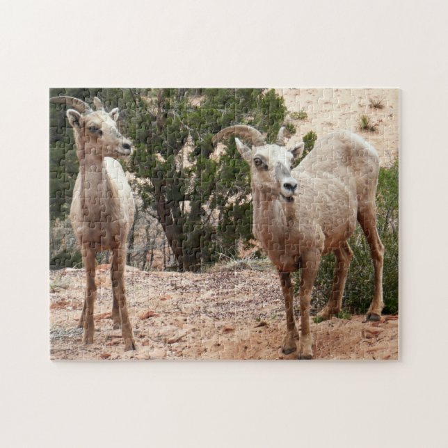 Puzzle Mouflons drôles à Zion National Park (Horizontal)