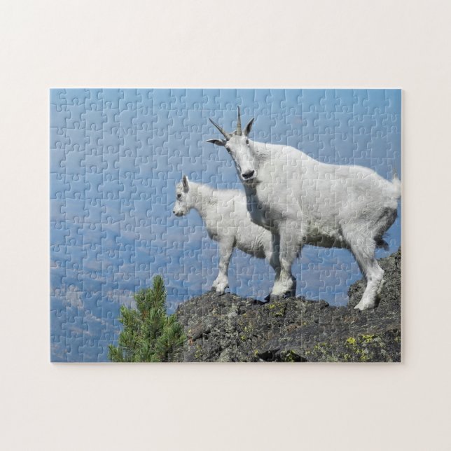 Puzzle Mountain Goats White Wildlife Photo (Horizontal)