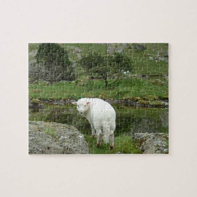 Puzzle Mouton blanc, Pays de Galles et Campagne britanniq (Horizontal)