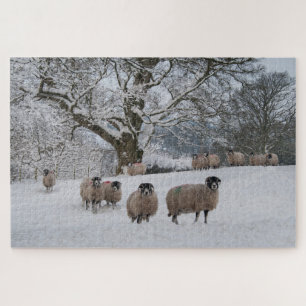 Puzzle Mouton dans la neige