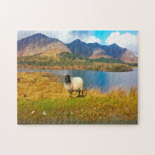 Puzzle Mouton laineux irlandais Galway Irlande.