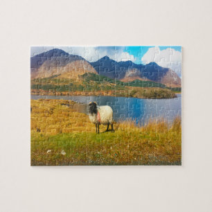 Puzzle Mouton laineux irlandais Galway Irlande.
