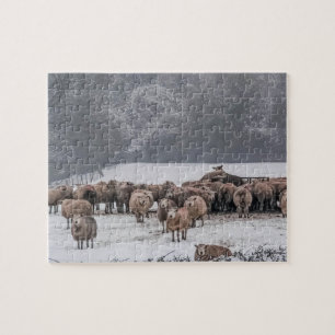 Puzzle Moutons