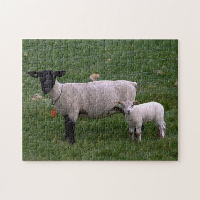 Puzzle Moutons avec l'agneau (Horizontal)