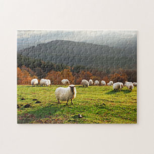 Puzzle moutons Basques de latxa de pays