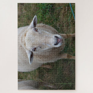 Puzzle Moutons dans un champ
