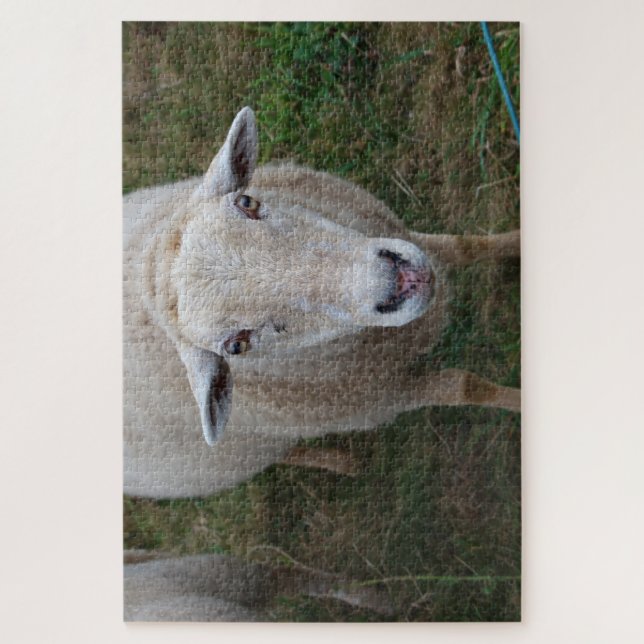 Puzzle Moutons dans un champ (Vertical)