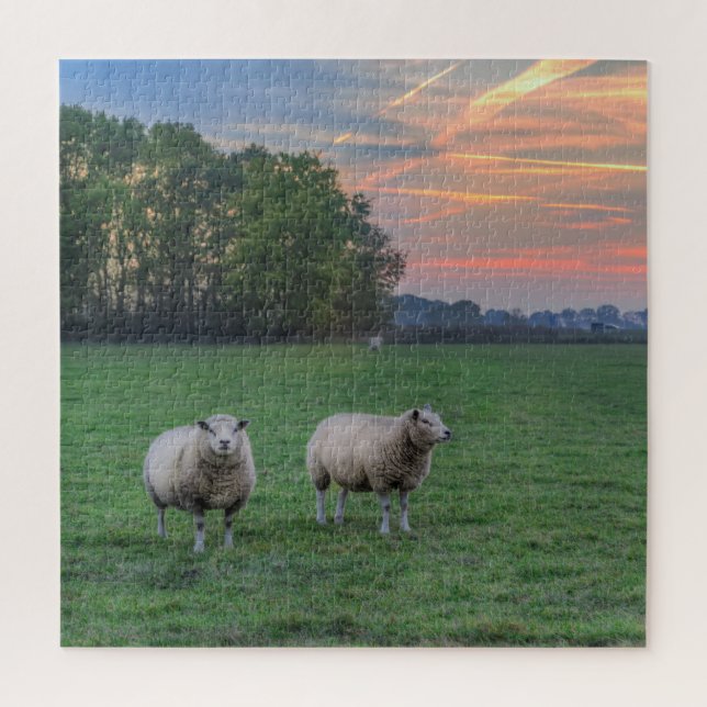 Puzzle Moutons en champ avec coucher de soleil (Vertical)