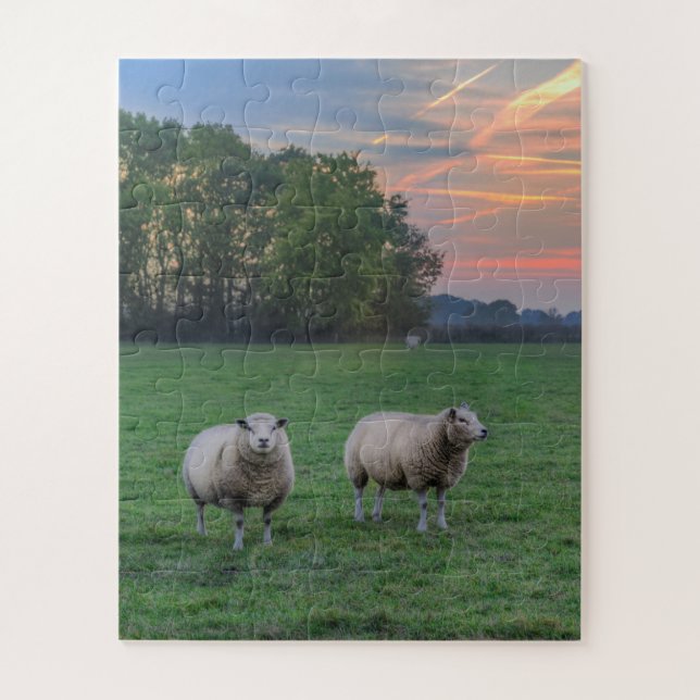 Puzzle Moutons en champ avec coucher de soleil (Vertical)