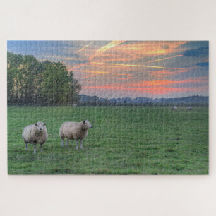 Puzzle Moutons en champ avec coucher de soleil