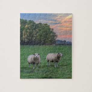 Puzzle Moutons en champ avec coucher de soleil
