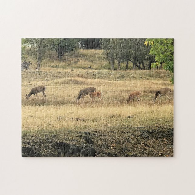 Puzzle Mule Deer dans un champ (Horizontal)