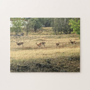 Puzzle Mule Deer in a Field, Joseph, Oregon