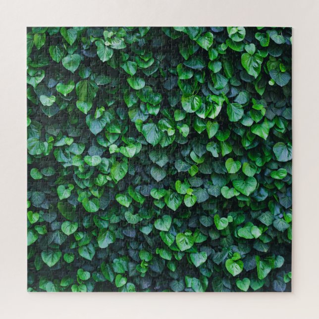 Puzzle Mur vert ivoire : surface naturelle. (Vertical)
