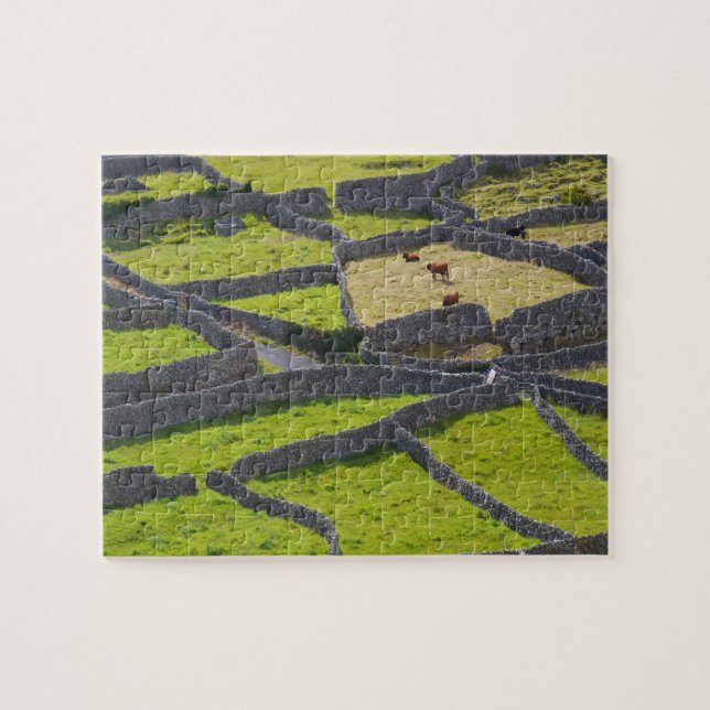 Puzzle Murs de pierre Galway Irlande. (Horizontal)