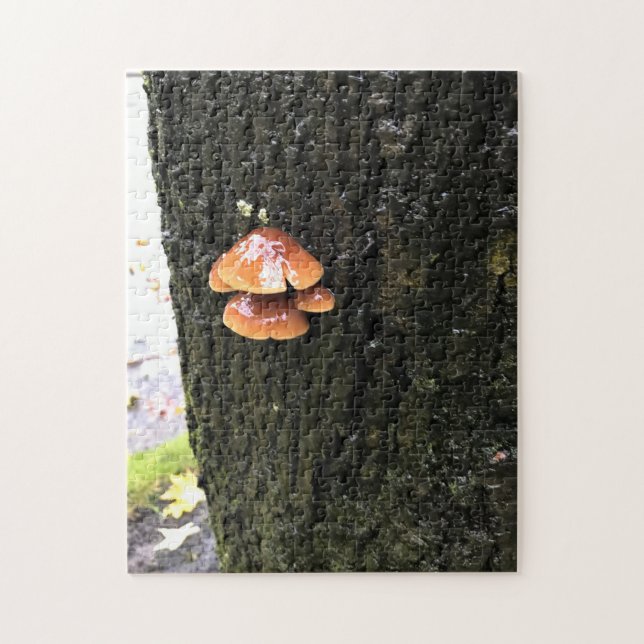 Puzzle Mushrooms on a tree, Oregon (Vertical)