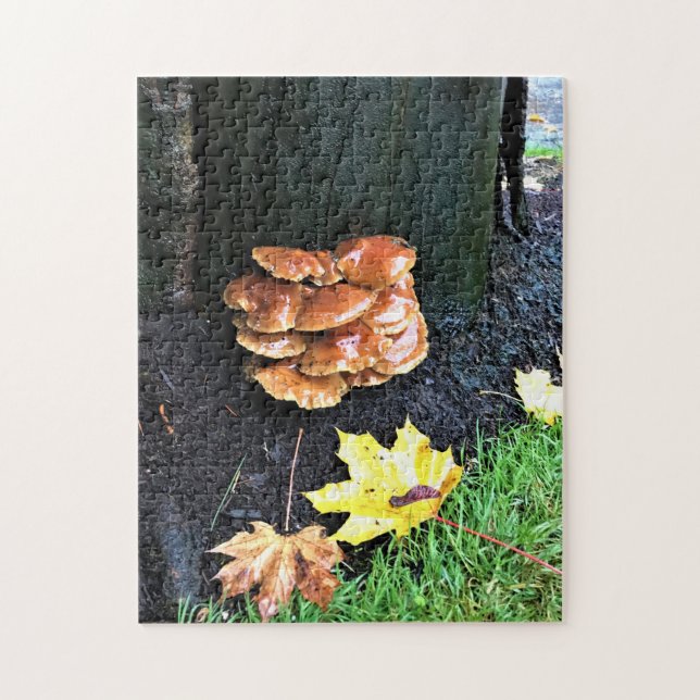 Puzzle Mushrooms on a tree, Oregon (Vertical)