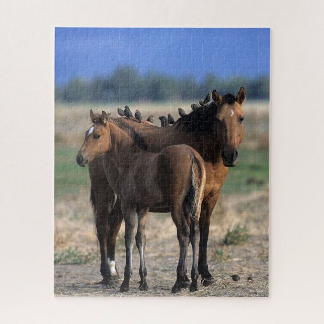 Puzzle Mustang Mare et poulain debout avec les oiseaux (Vertical)